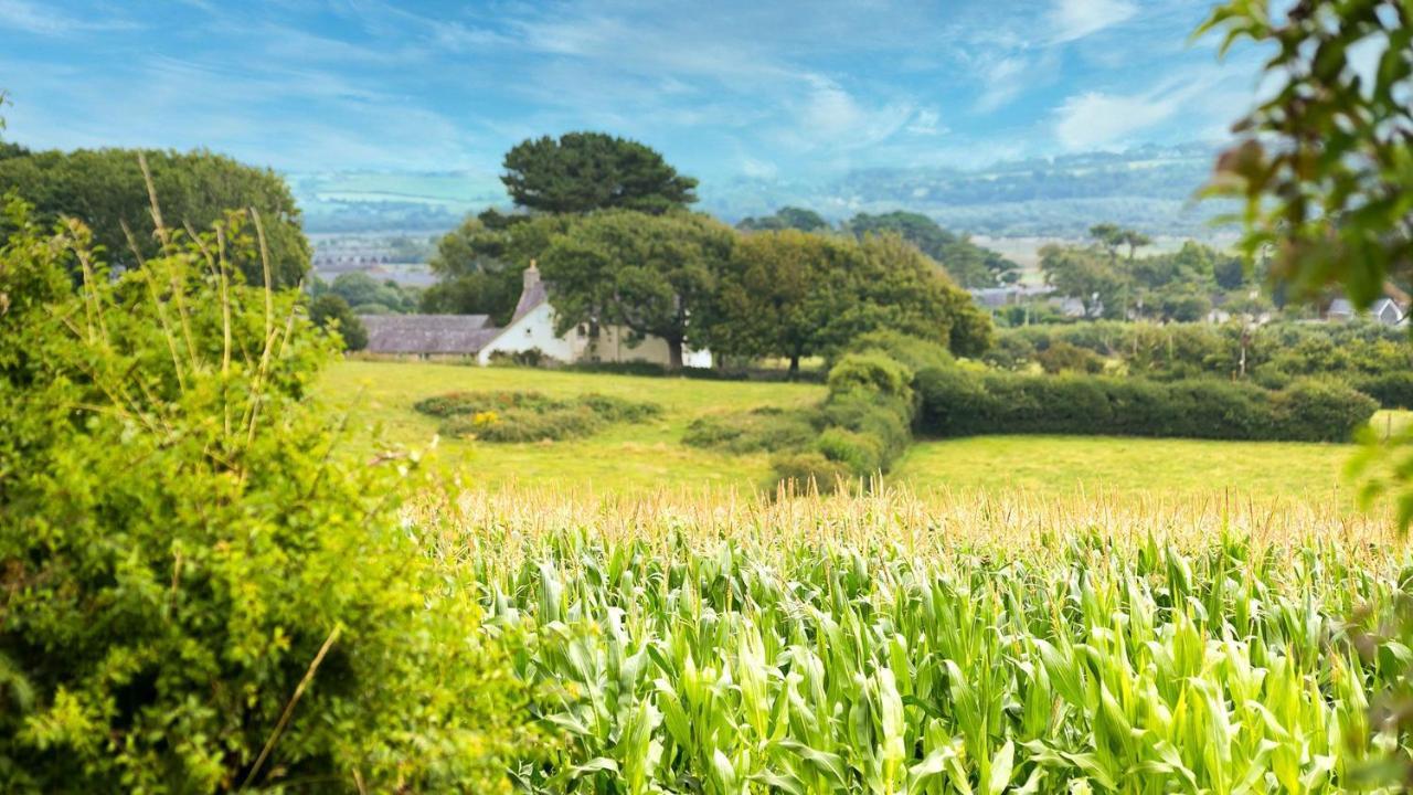 Tan Yr Allt Llangadwaladr  Esterno foto